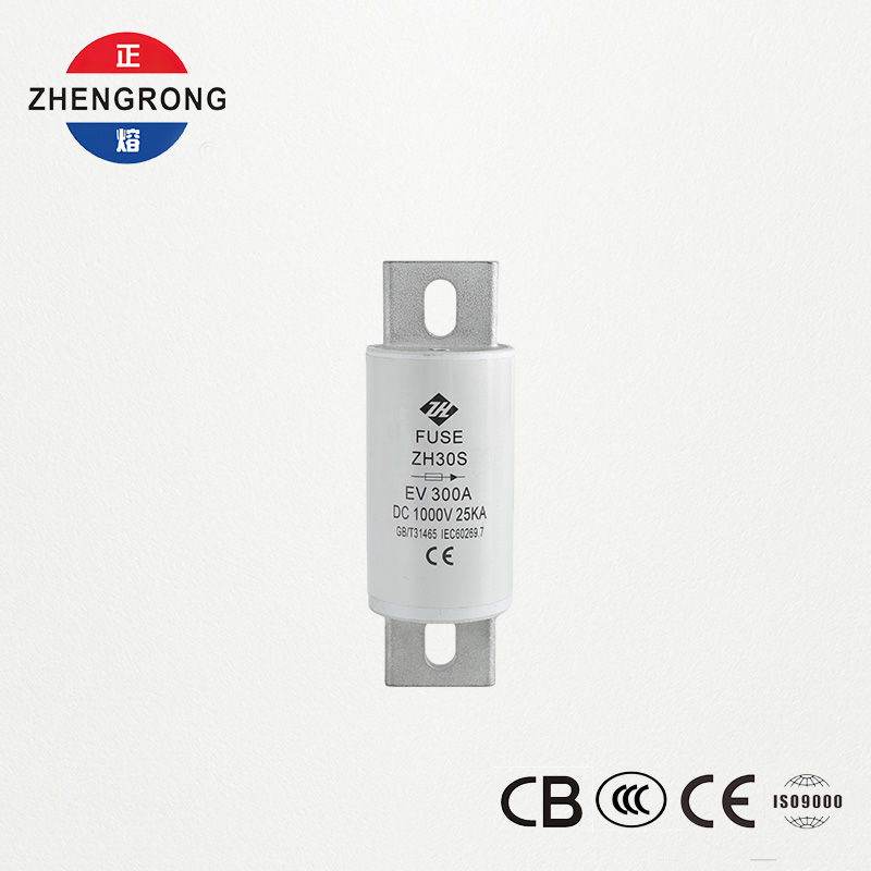 Fusibile CC EV 300 A 1000 V (ZH30S)