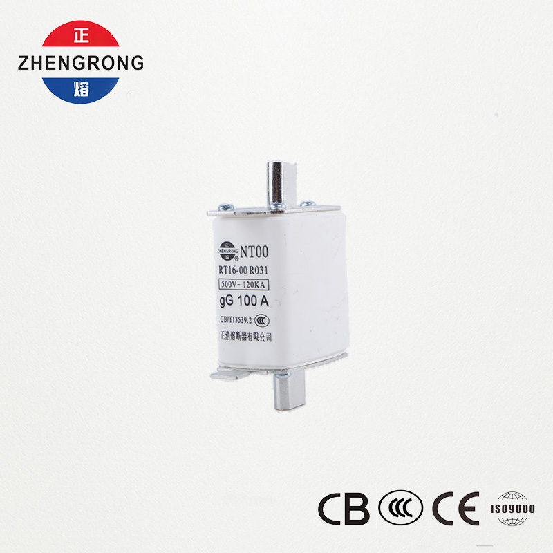 Fusibile NT00 100A ad alto potere di interruzione - Fusibile gG ceramico 500V 120kA