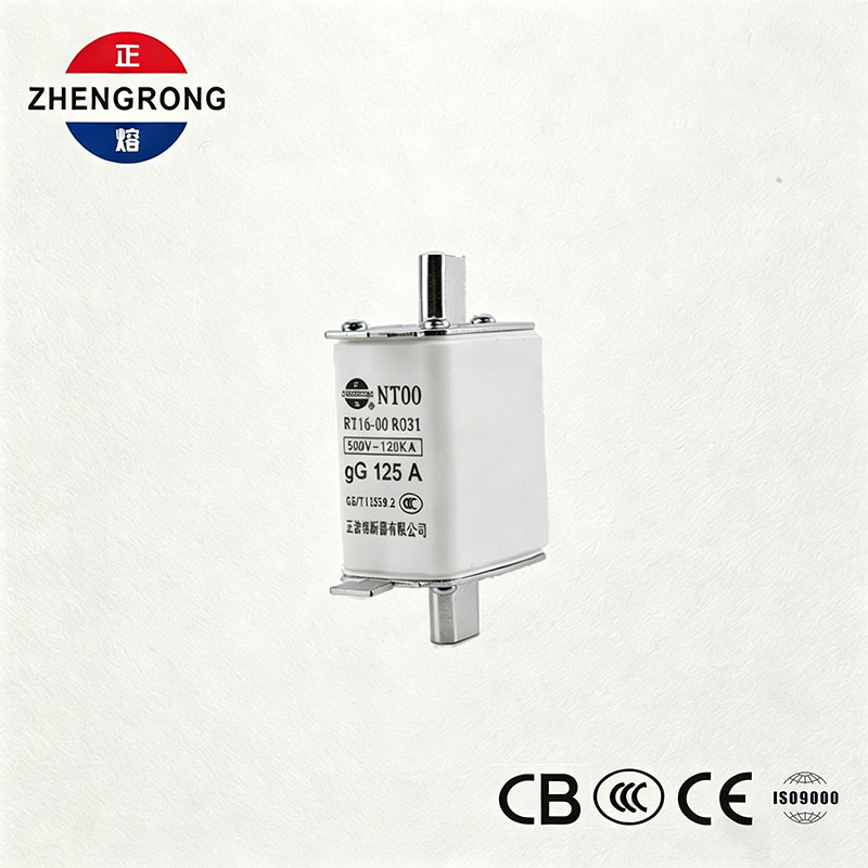 Fusibile NT00 125A ad alto potere di interruzione - Fusibile gG ceramico 500V 120kA