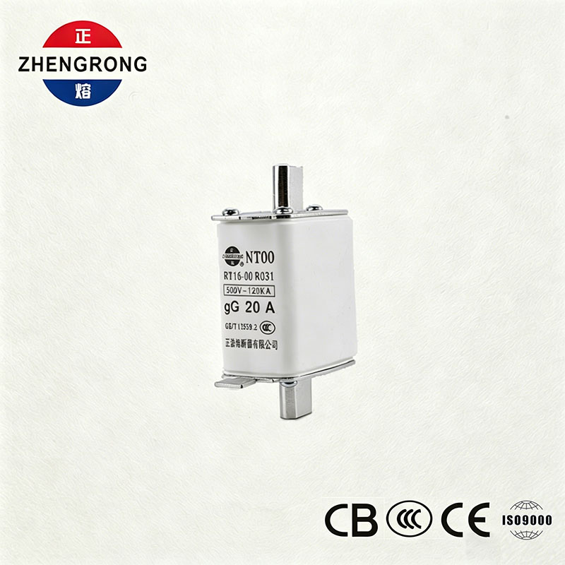 Fusibile NT00 20A ad alto potere di interruzione - Fusibile gG in ceramica 500V 120kA