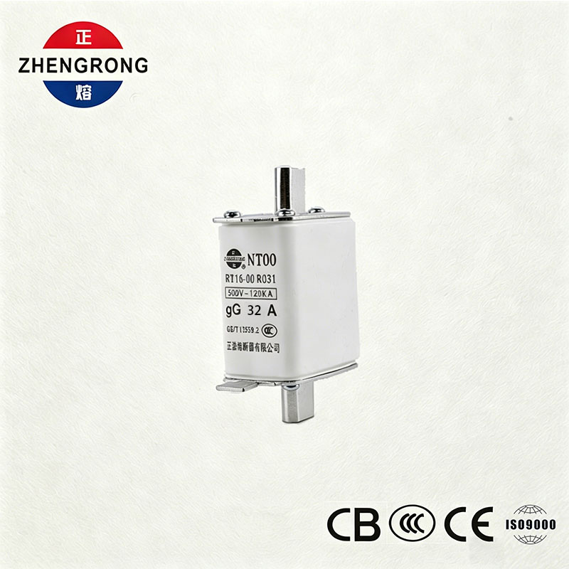 Fusibile NT00 32A ad alto potere di interruzione - Fusibile gG in ceramica 500 V 120 kA