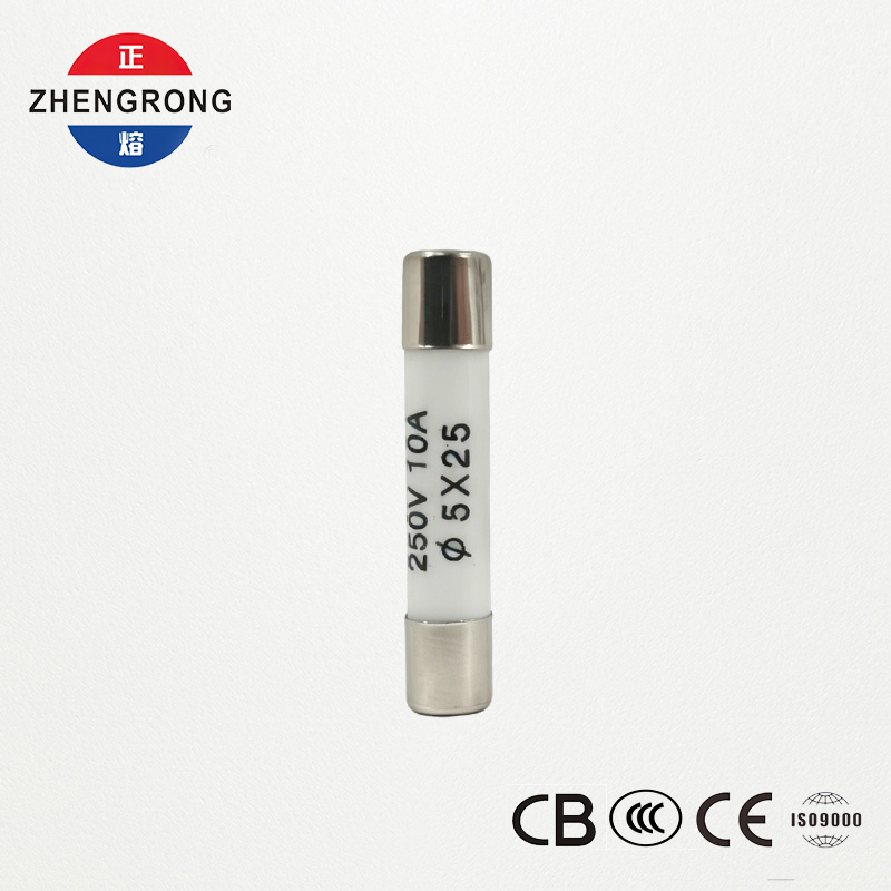 Fusibili 5x25mm R055 10A di alta qualità per acquirenti all'ingrosso