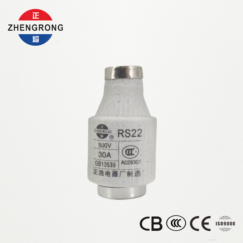 Fusibile a vite ad azione rapida RS22 30A 500V | Protezione dei semiconduttori